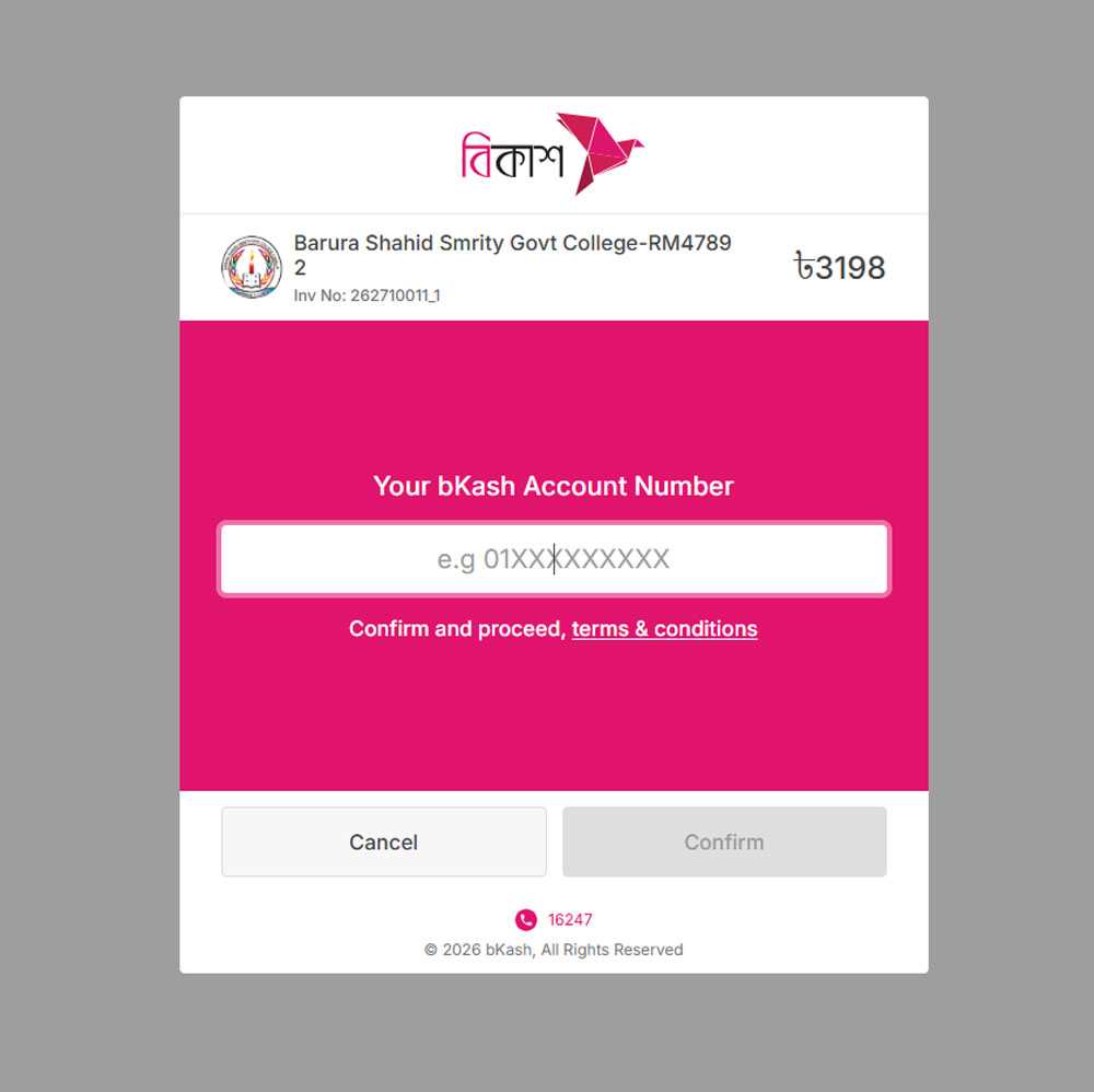 bKash Payment Process